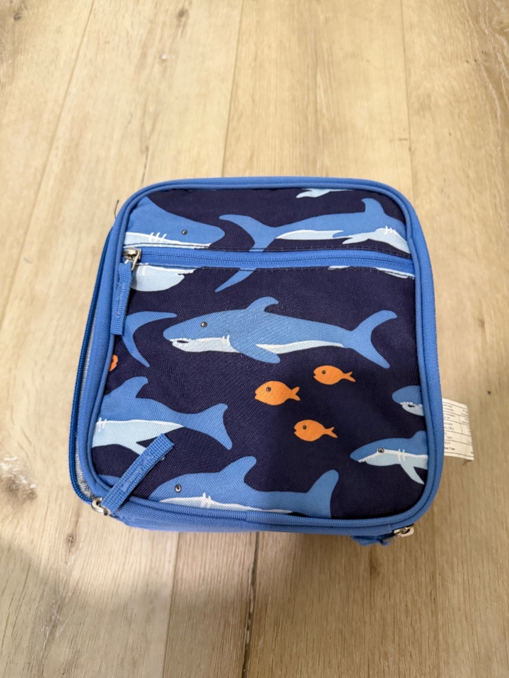 Pottery Barn kids lunchbox shark